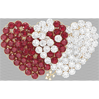 Valentine's Day-QRJ  6175